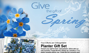 Thumbnail - Spring Promotion